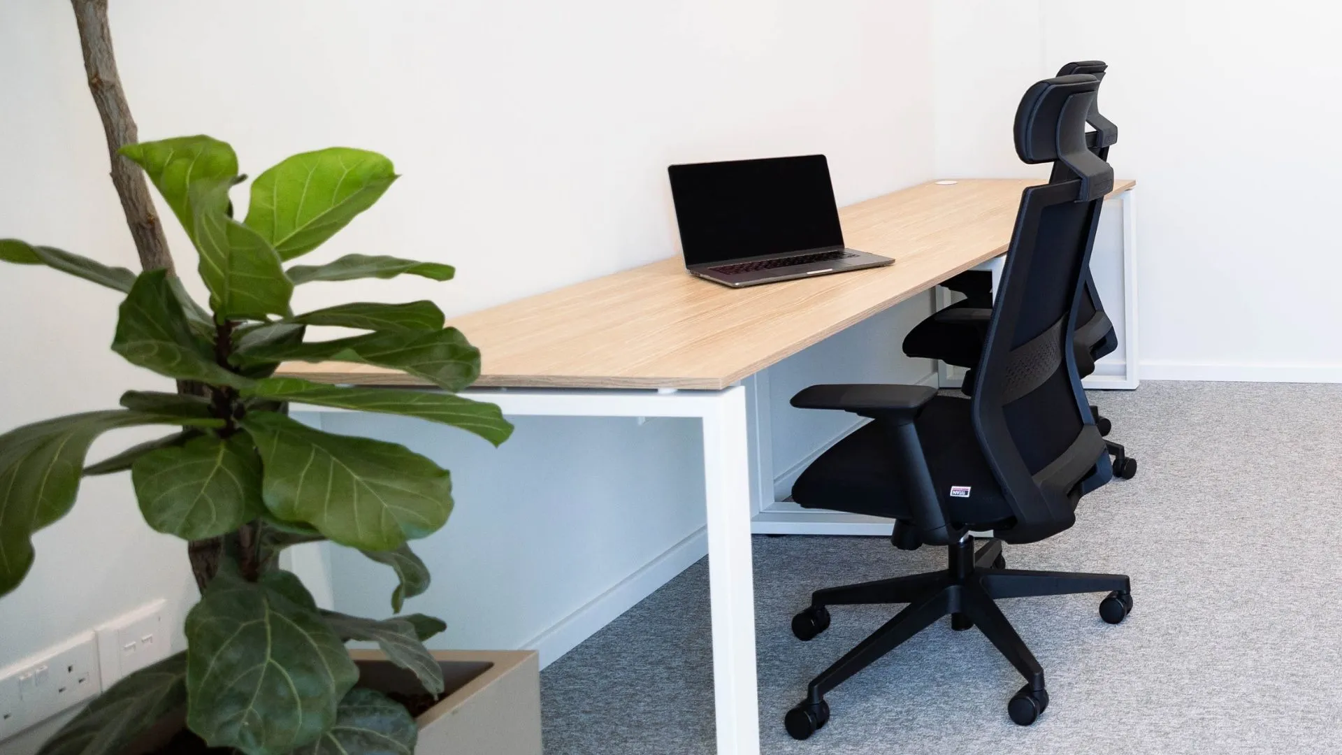 Serviced Office to Let: Everything You Need to Know Before Renting